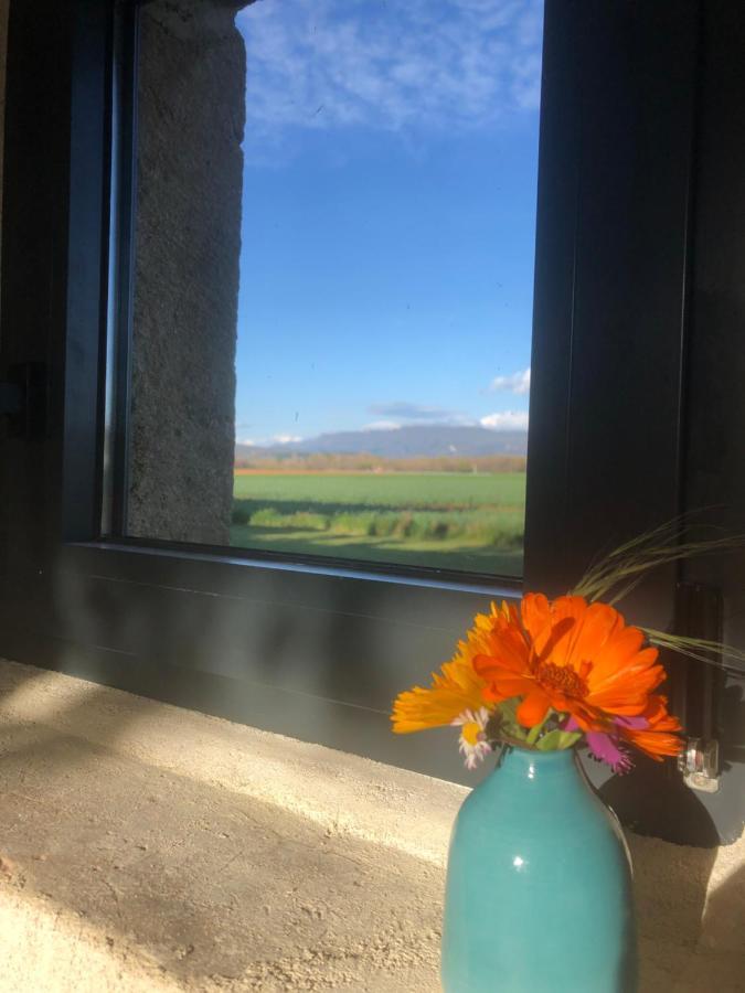 L'Atelier Apartman Grane Kültér fotó
